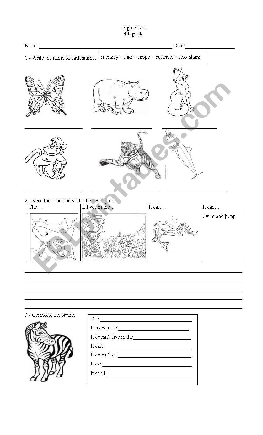 animals worksheet