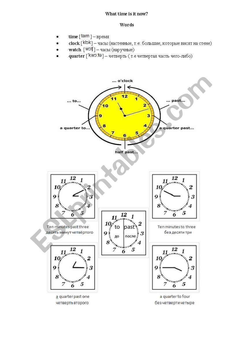 Studying time! worksheet