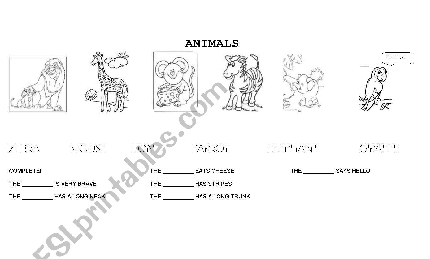 animals worksheet