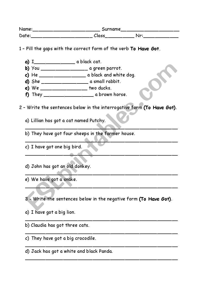 Verb have got worksheet