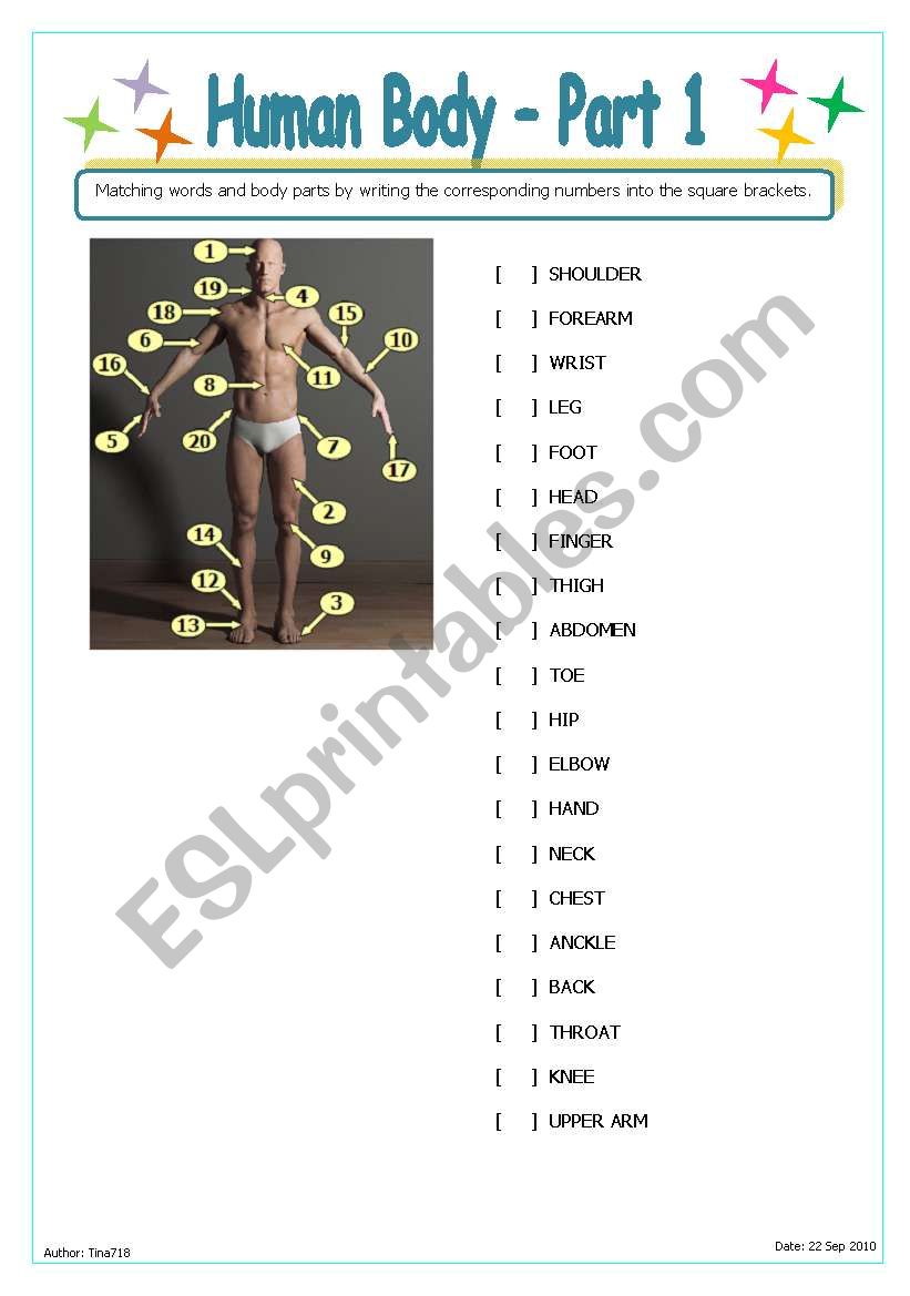 Human Body - Part 1 worksheet