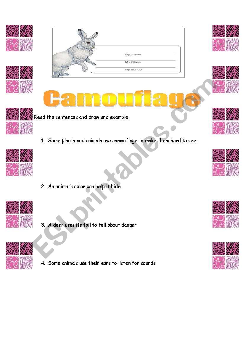 CAMOUFLAGE worksheet