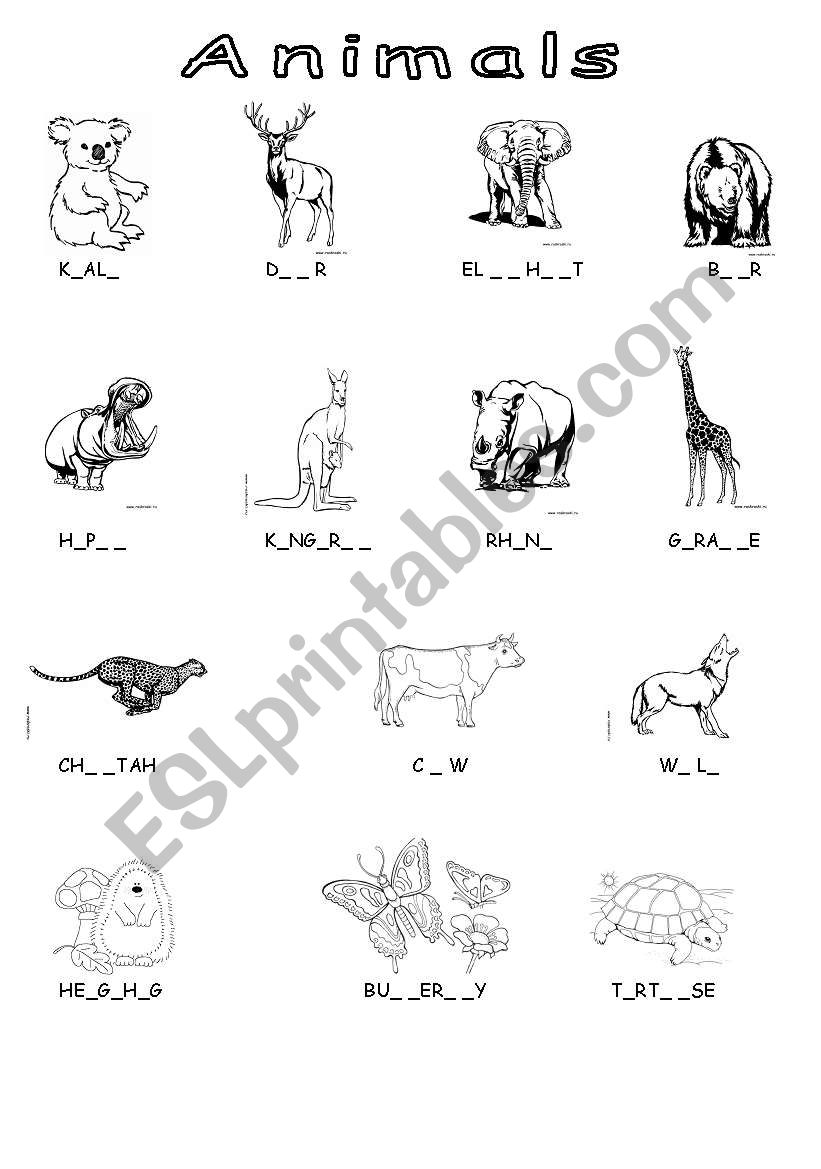 Animals worksheet