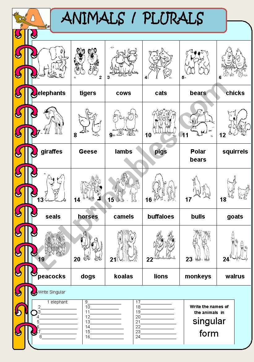 animal-plurals-esl-worksheet-by-jhansi