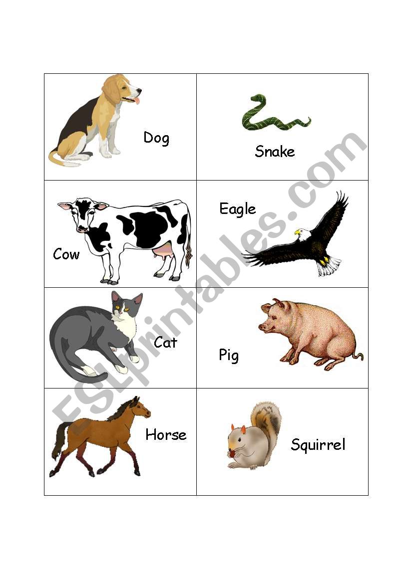 Animals worksheet