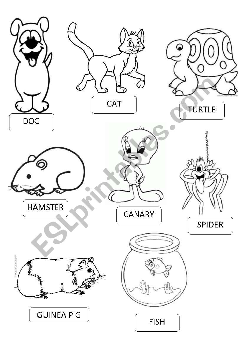 PETS PICTIONARY worksheet