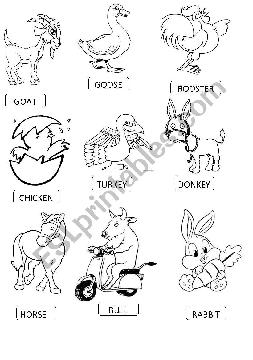 FARM ANIMALS SET 1 worksheet