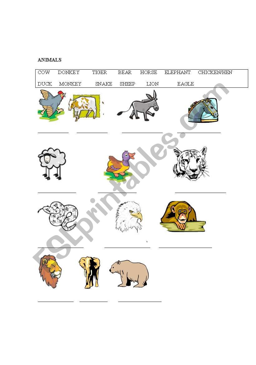 ANIMALS worksheet