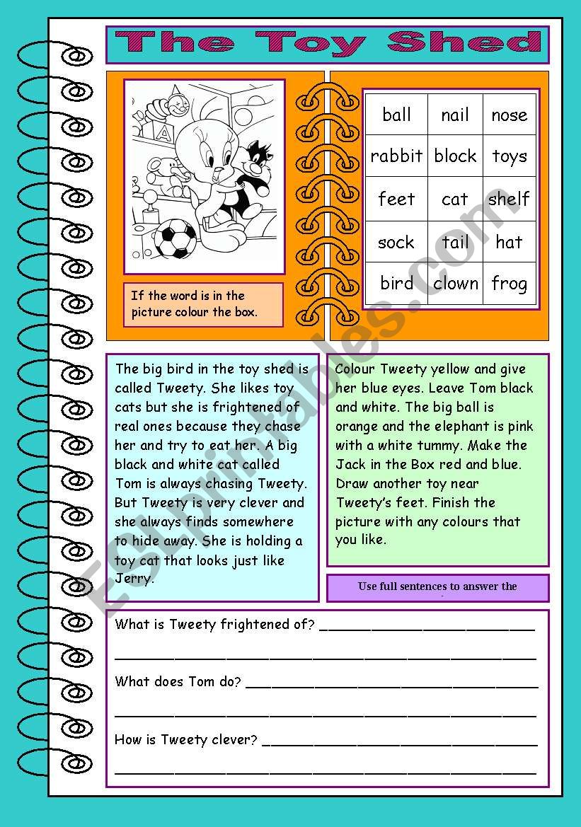 The Toy Shed worksheet