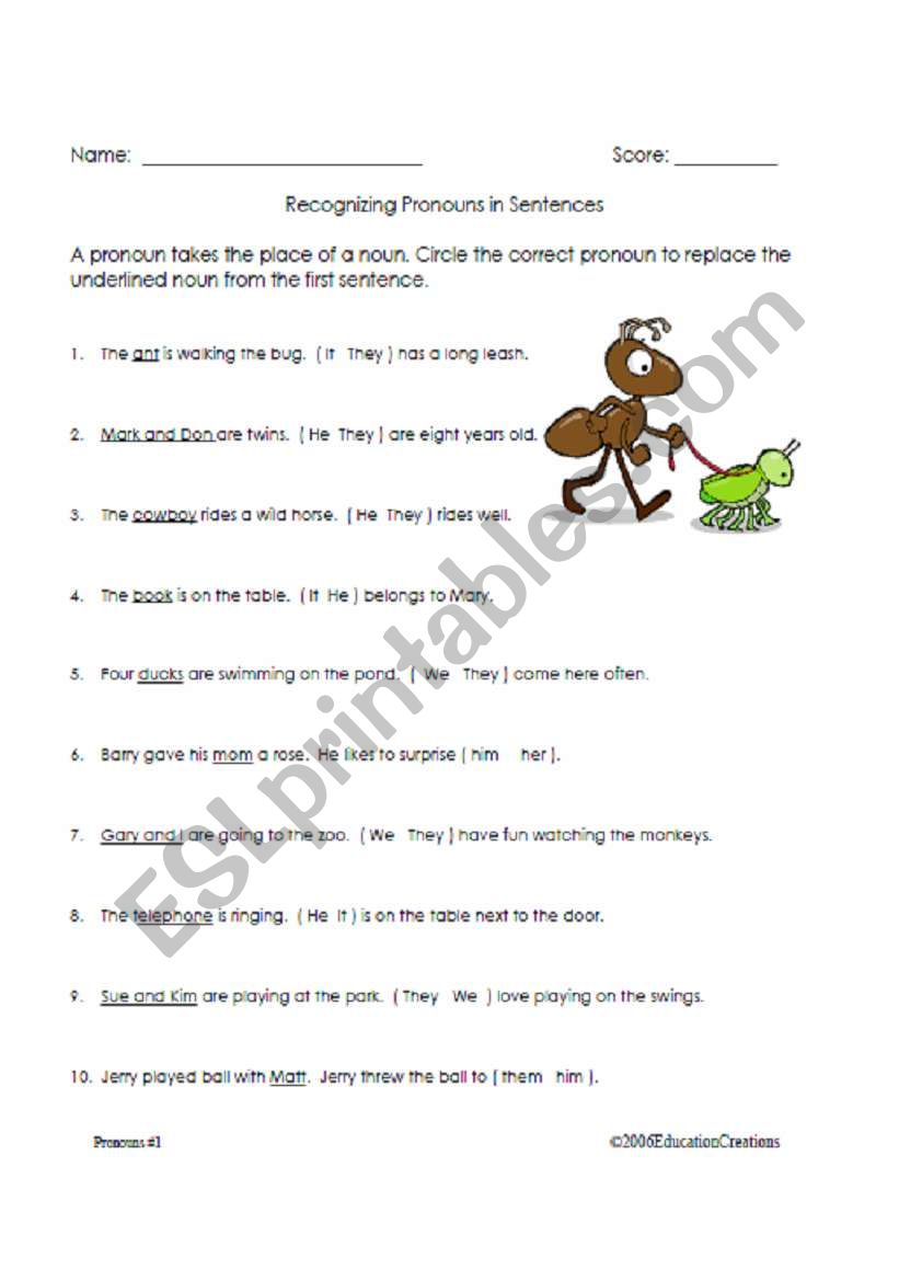 Recognizing Pronouns worksheet