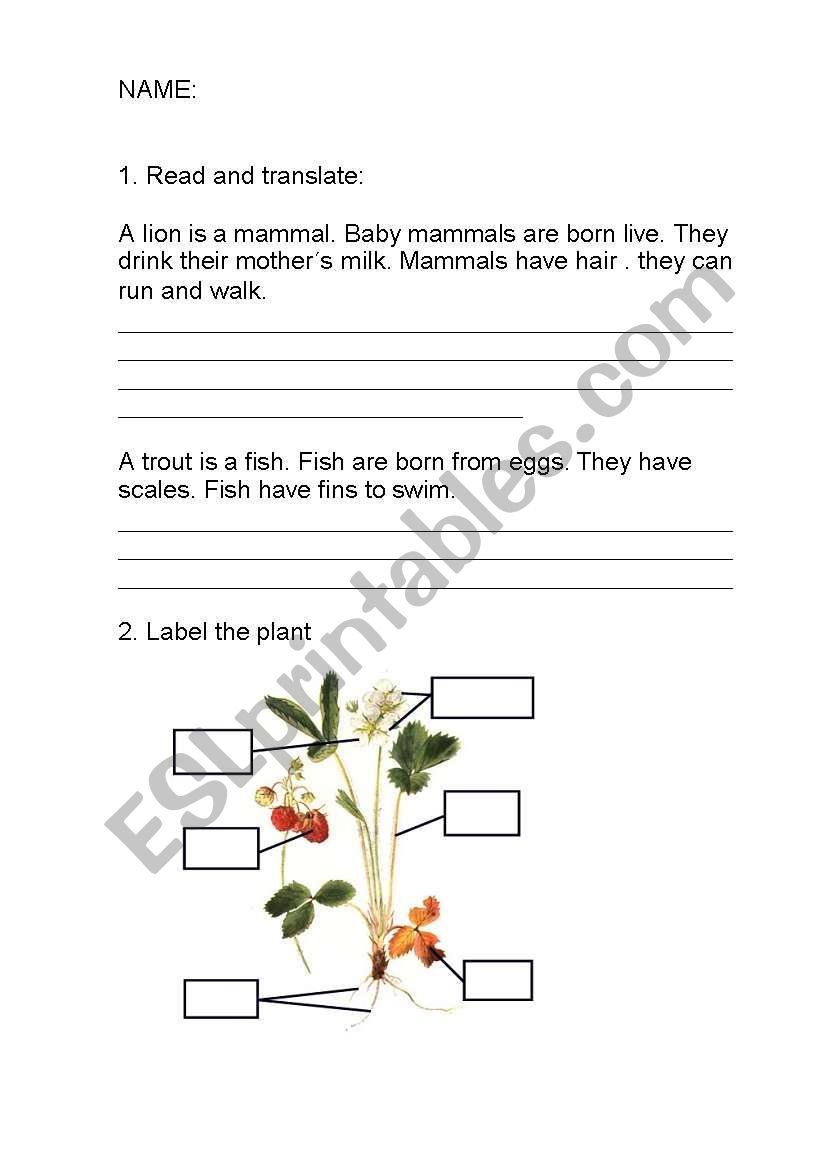 SCIENCE EXAM worksheet