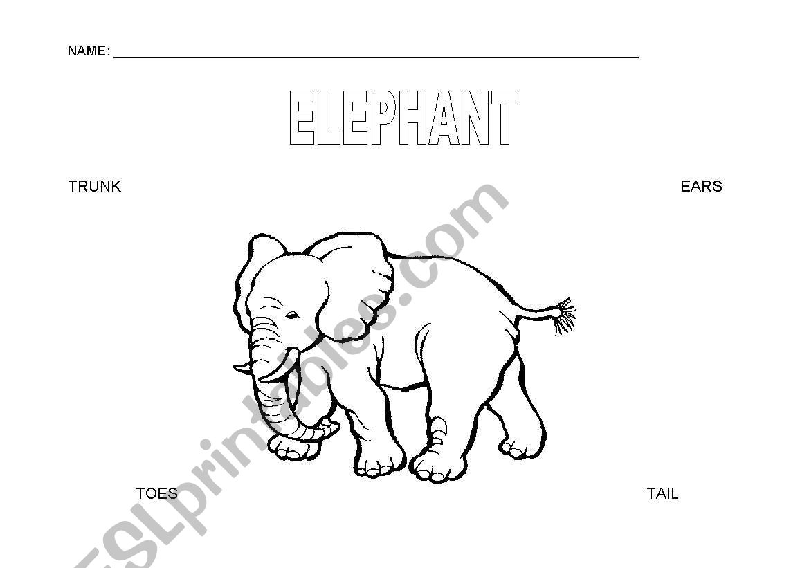 parts of the body worksheet