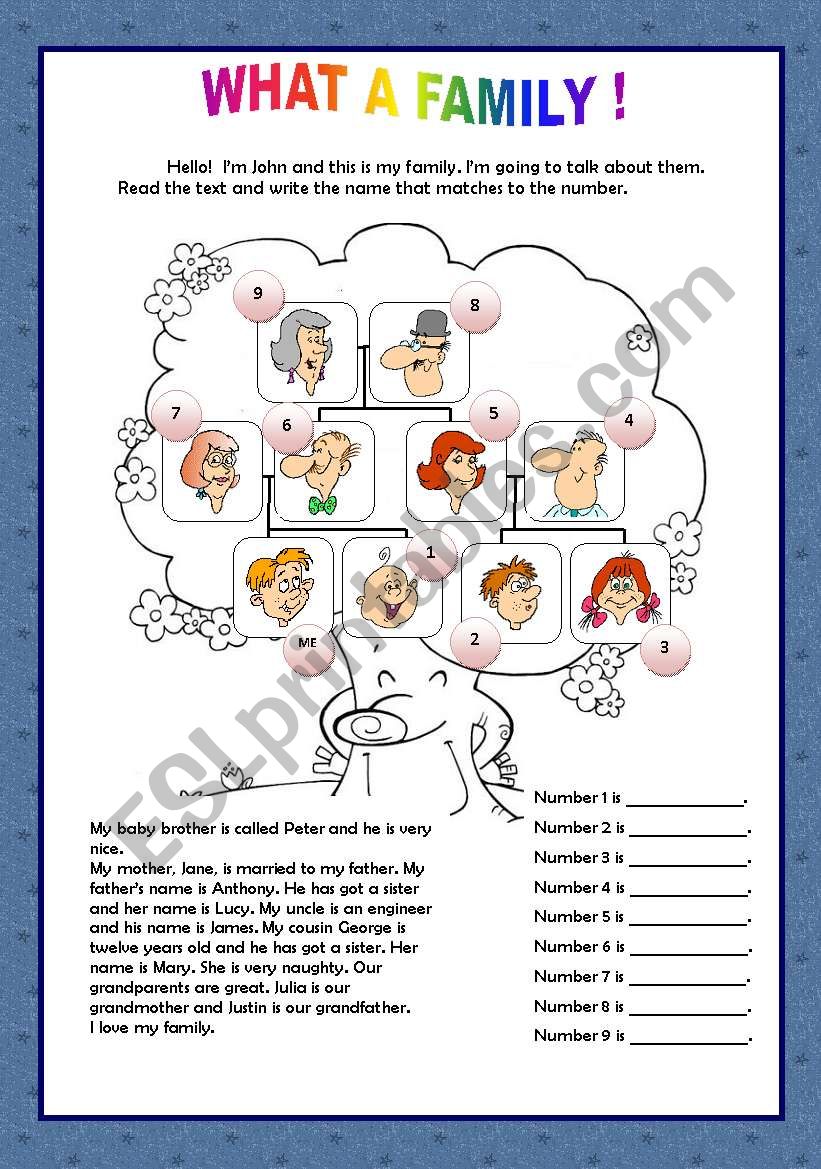 WHAT A FAMILY! - BEGINNERS worksheet