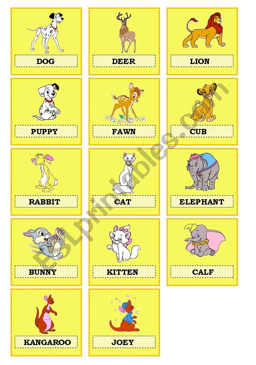 Animal babies worksheet