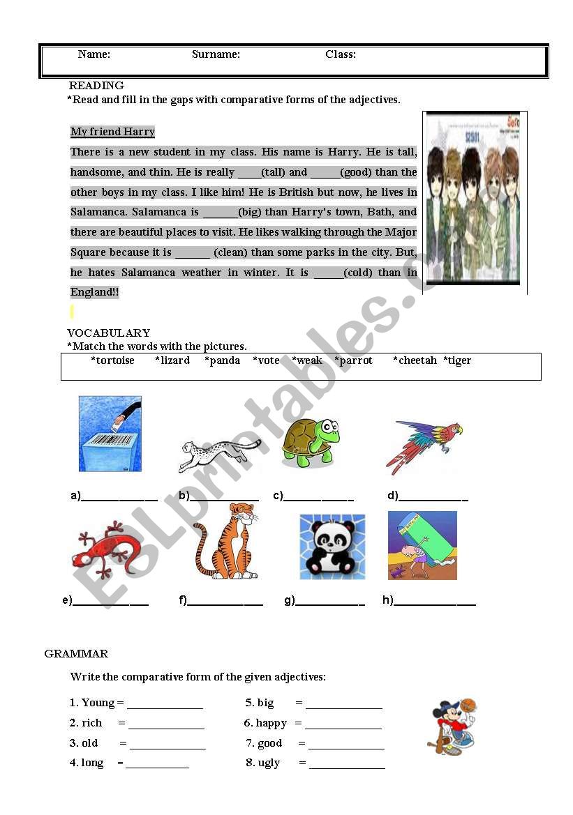 activity worksheet worksheet