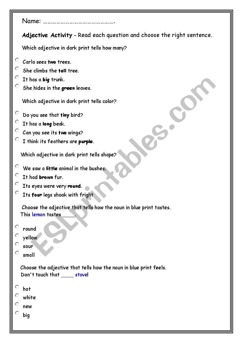 Adjective Activity worksheet