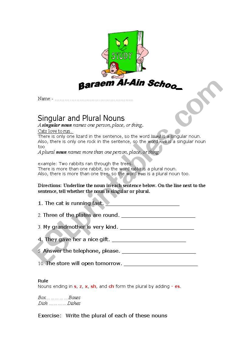 nouns  worksheet