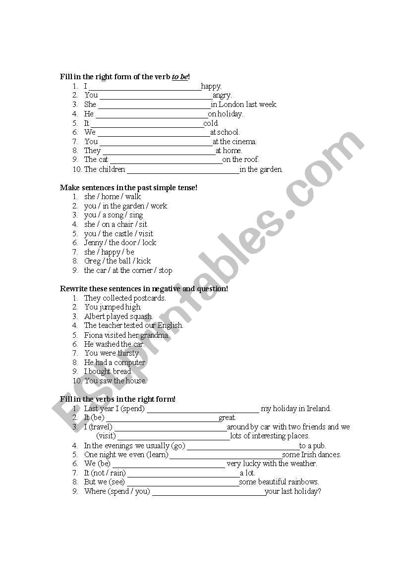 Past Simple Exercises worksheet