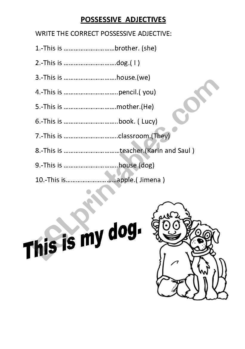 Possessive Adjectives worksheet