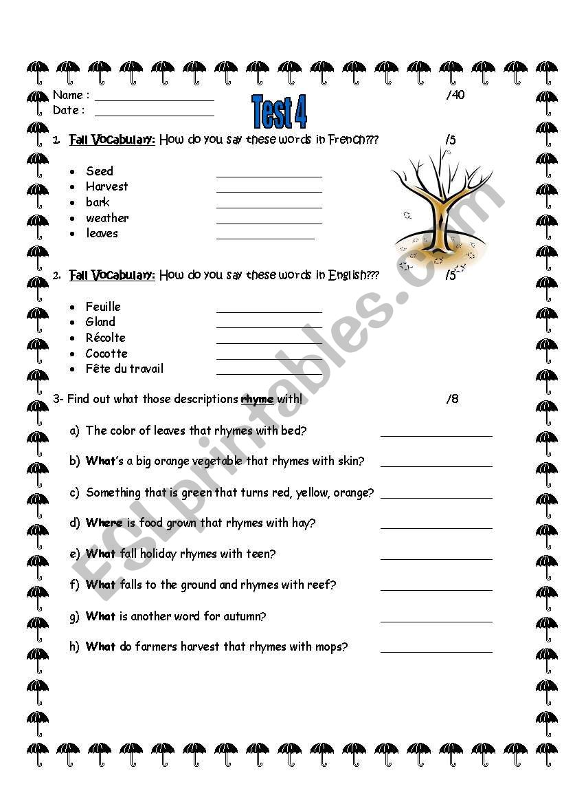 test about fall vocabulary and question words!