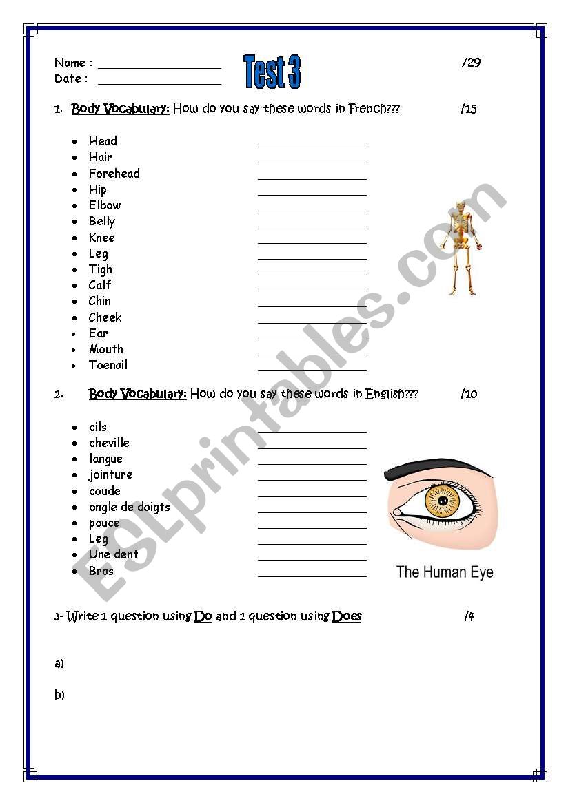 body vocabulary test worksheet