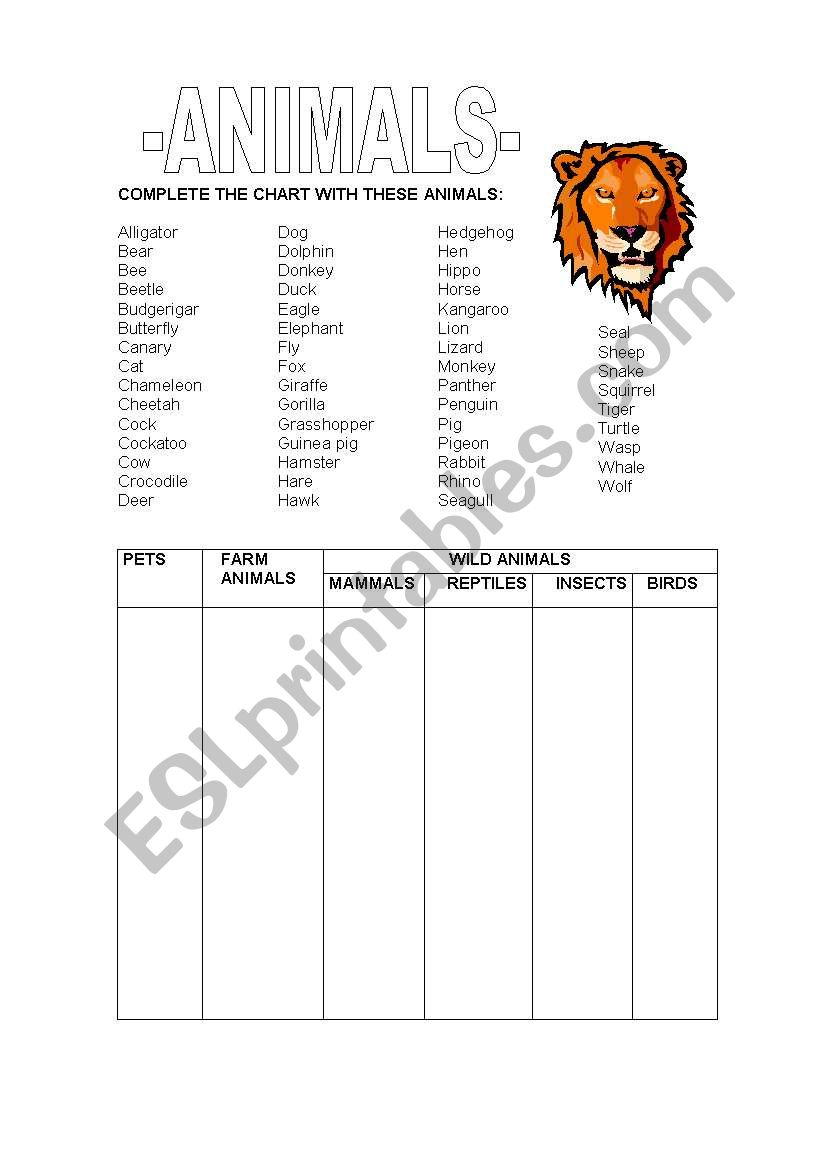 ANIMALS worksheet