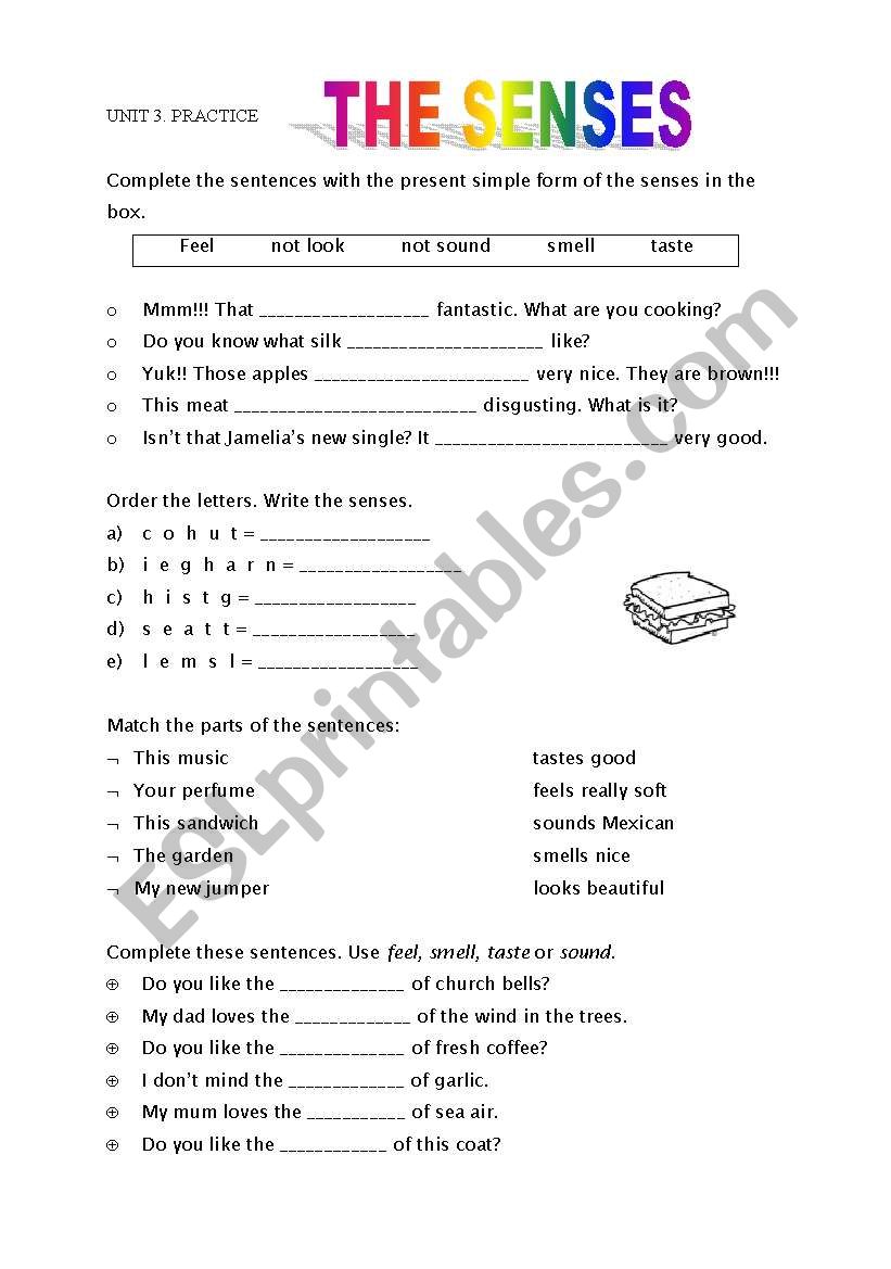 the senses worksheet