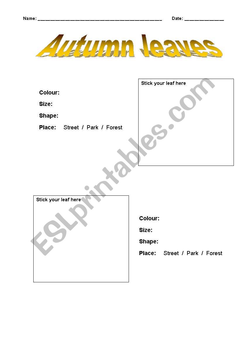 Autumn leaves worksheet