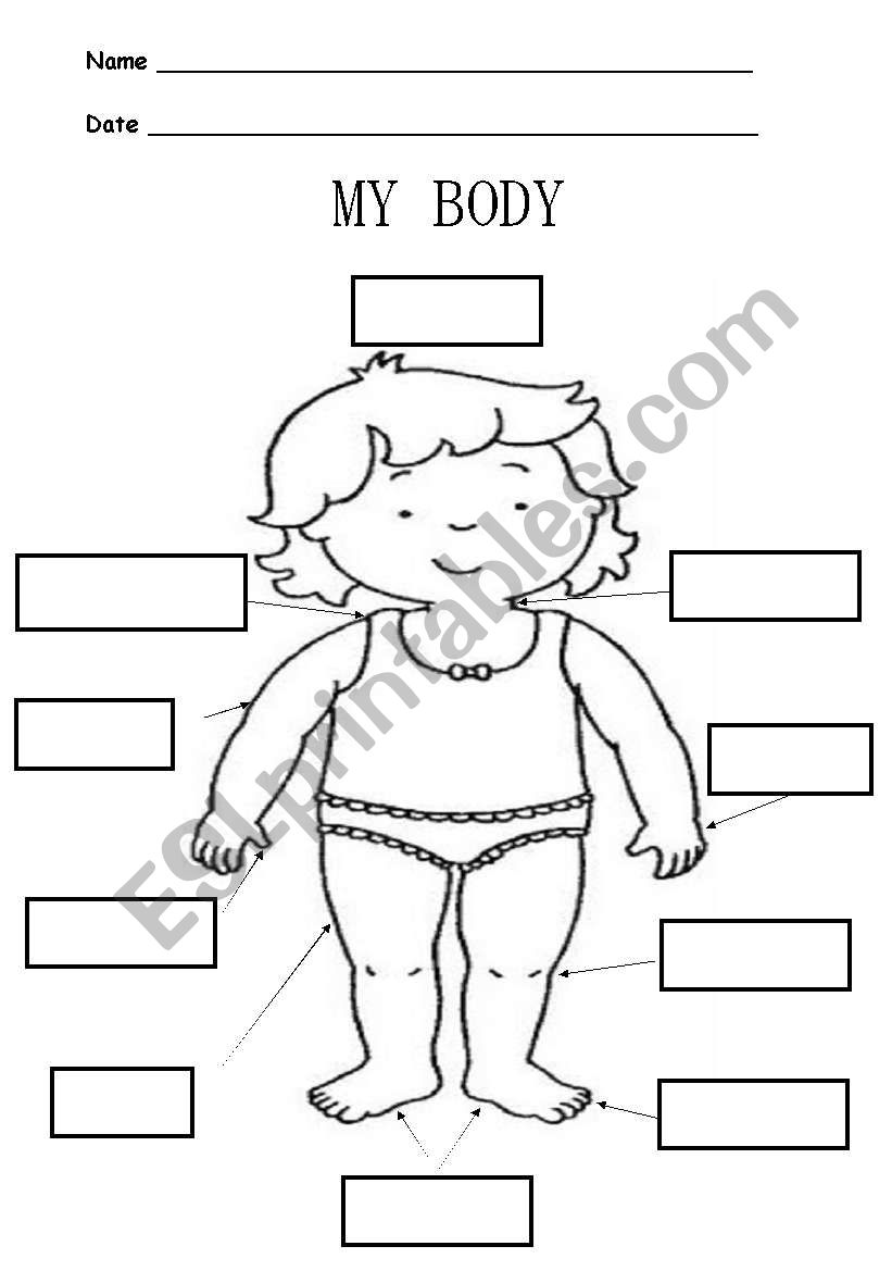 PARTS OF MY BODY  worksheet