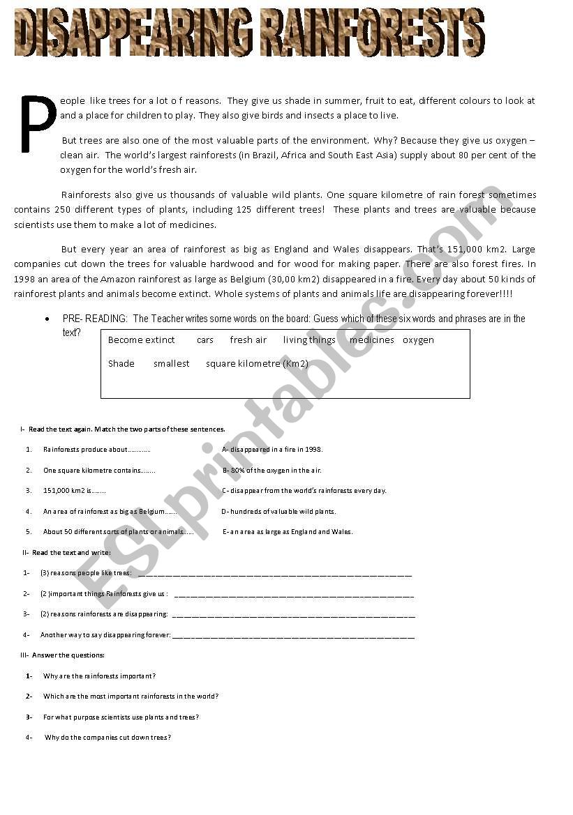 disappearing rainforests worksheet