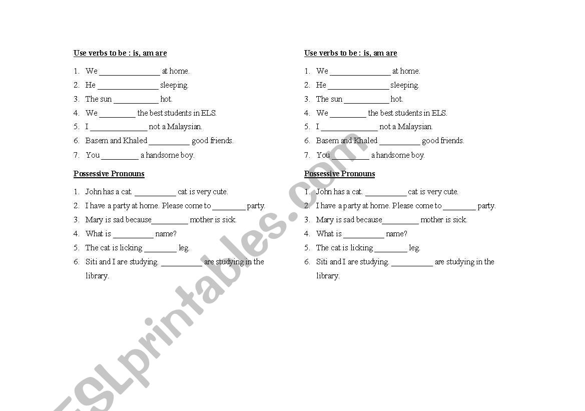 Possessive and Verb be worksheet