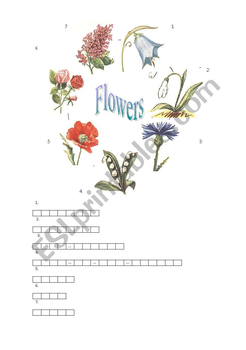 Flowers worksheet