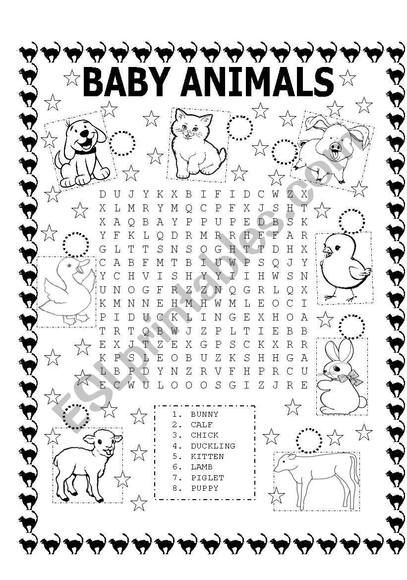 WORD SEARCH (BABY ANIMALS) AND NUMBER THE PICTURES