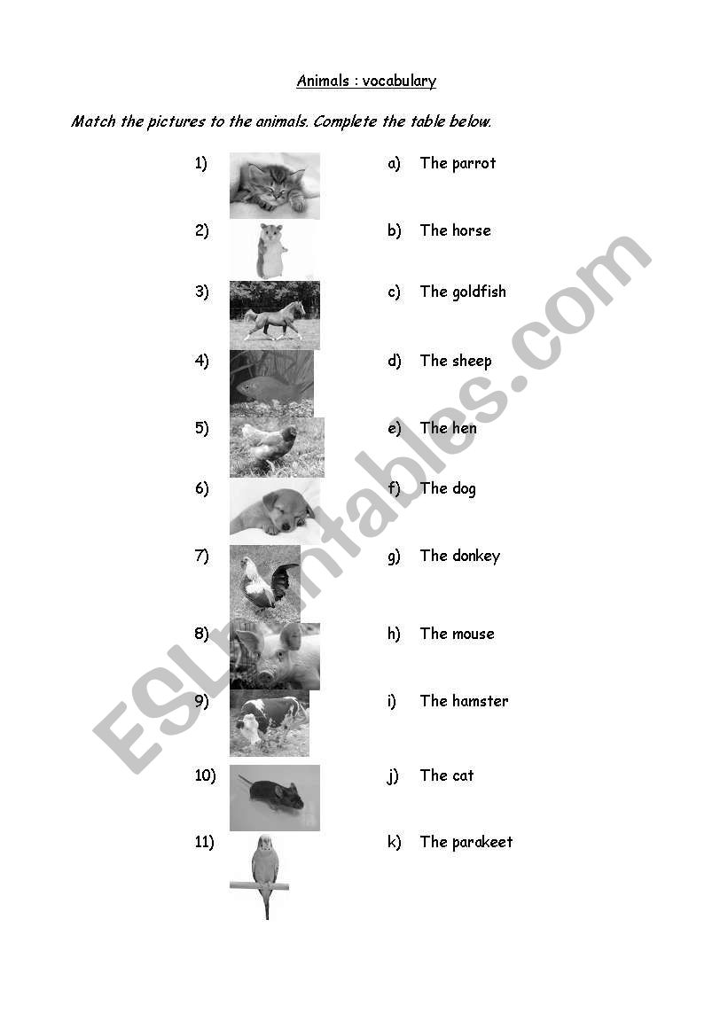 animals worksheet