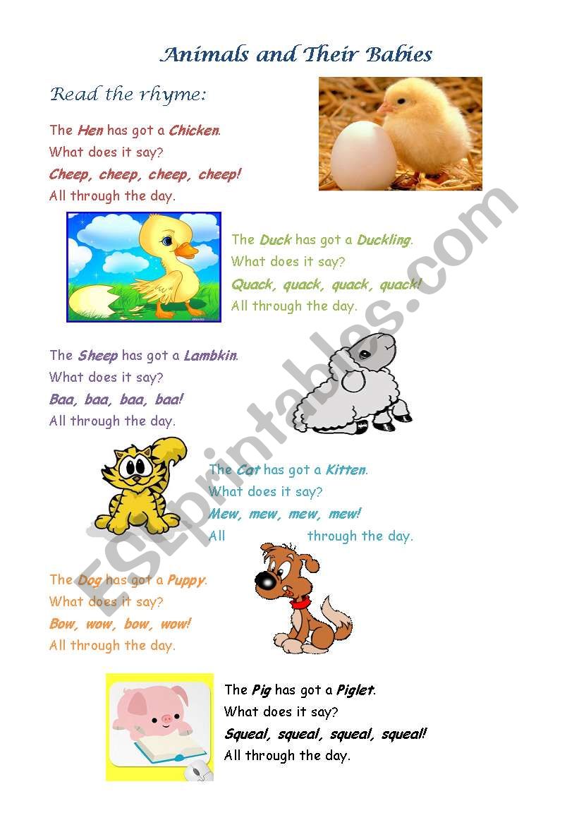 Animals and Their Babies worksheet