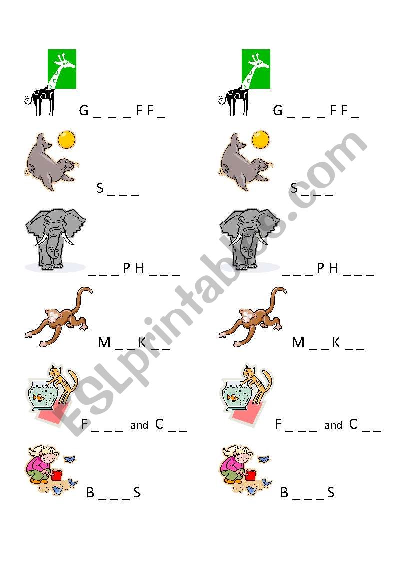 animals worksheet