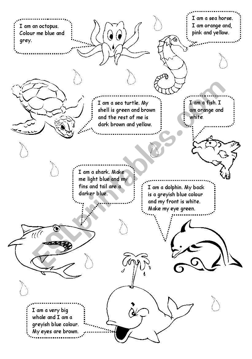 Sea Animals worksheet