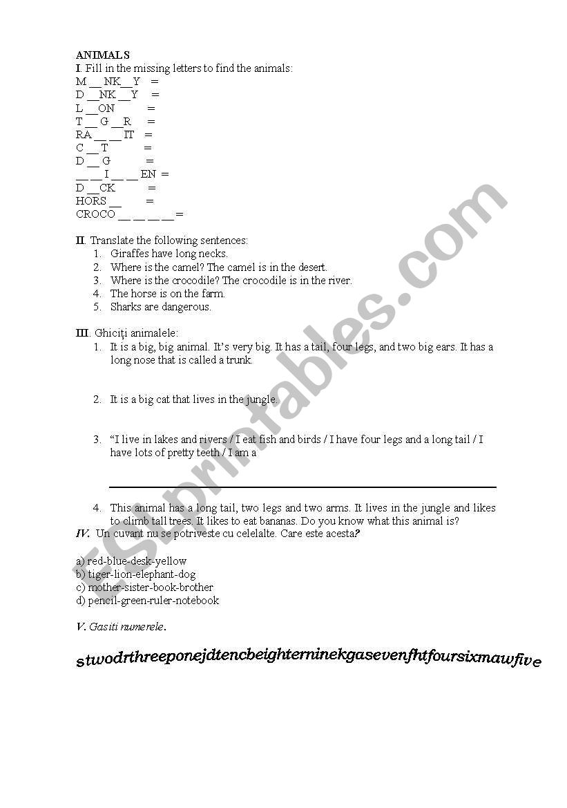 test worksheet