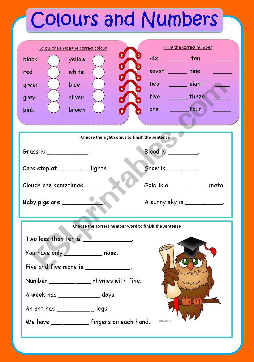 Colours and numbers worksheet