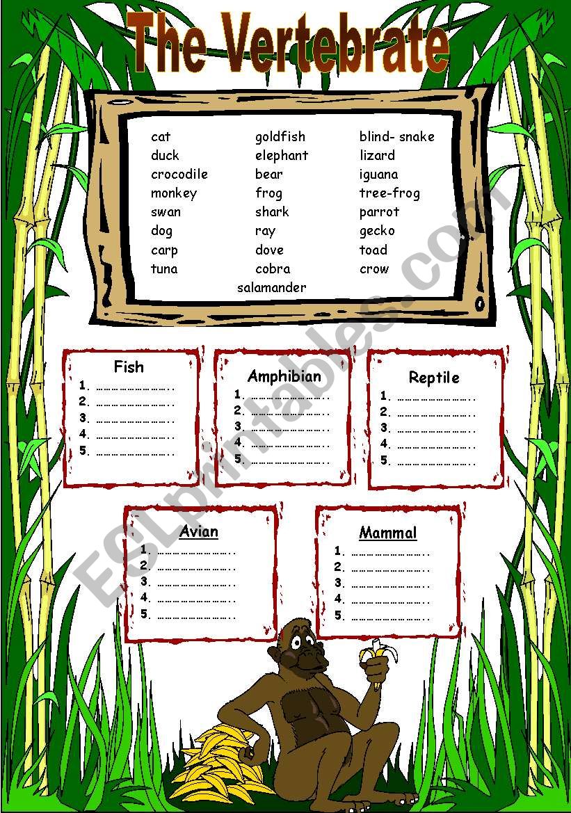 The Vertebrate worksheet