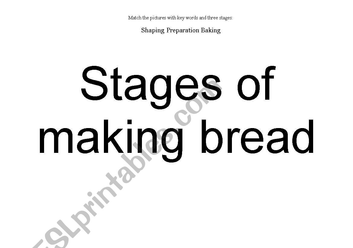 STAGES  of  MAKING BREAD worksheet