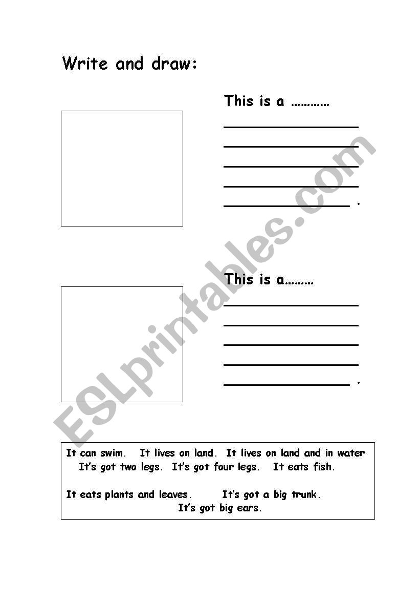 Write and draw the animals worksheet