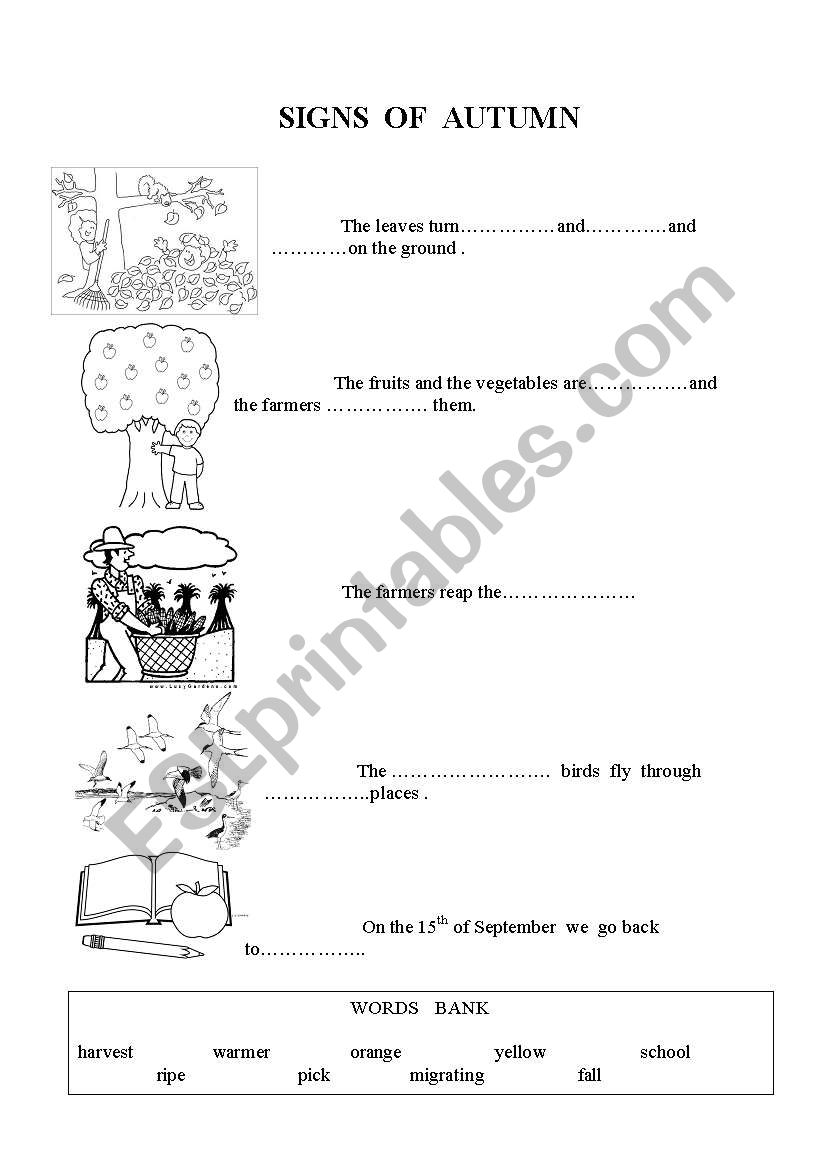 signs of autums worksheet