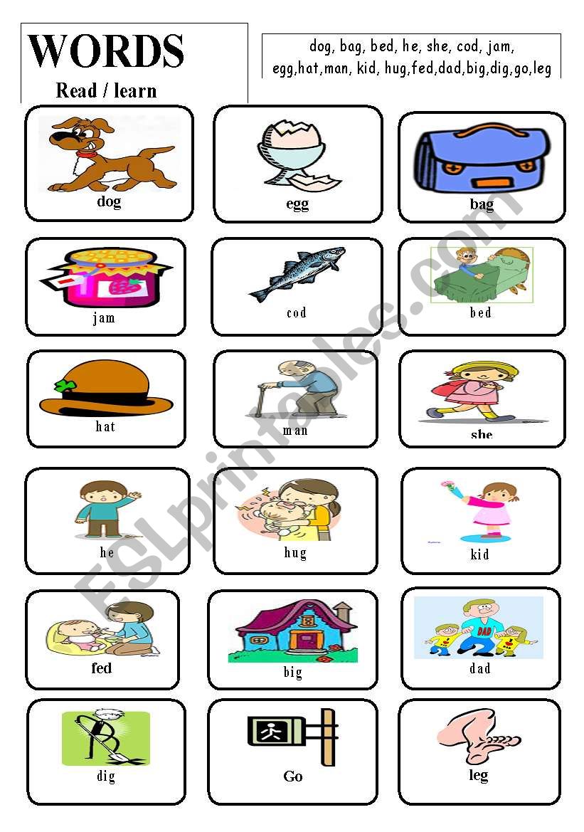 WORDS (Vocabulary) worksheet