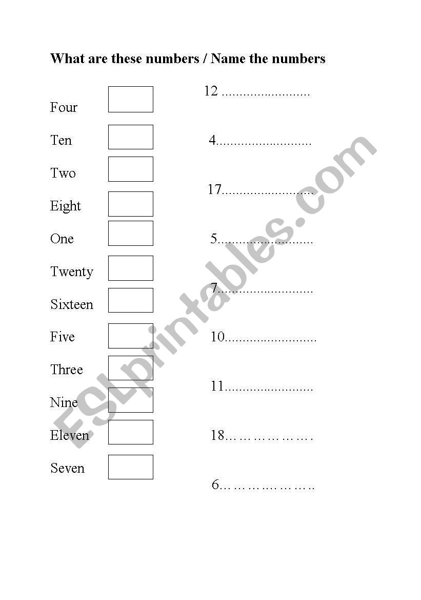 What are these numbers? worksheet