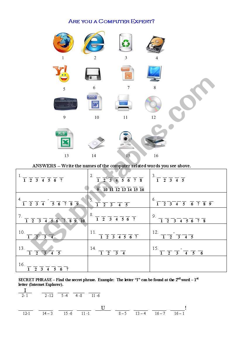 computer expert worksheet