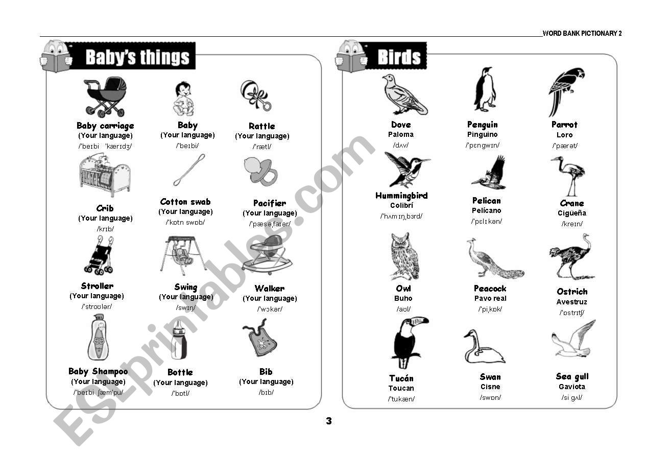 pictionary page 3 worksheet