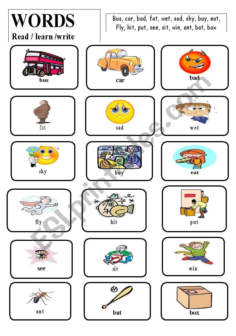 WORDS(Vocabulary) worksheet