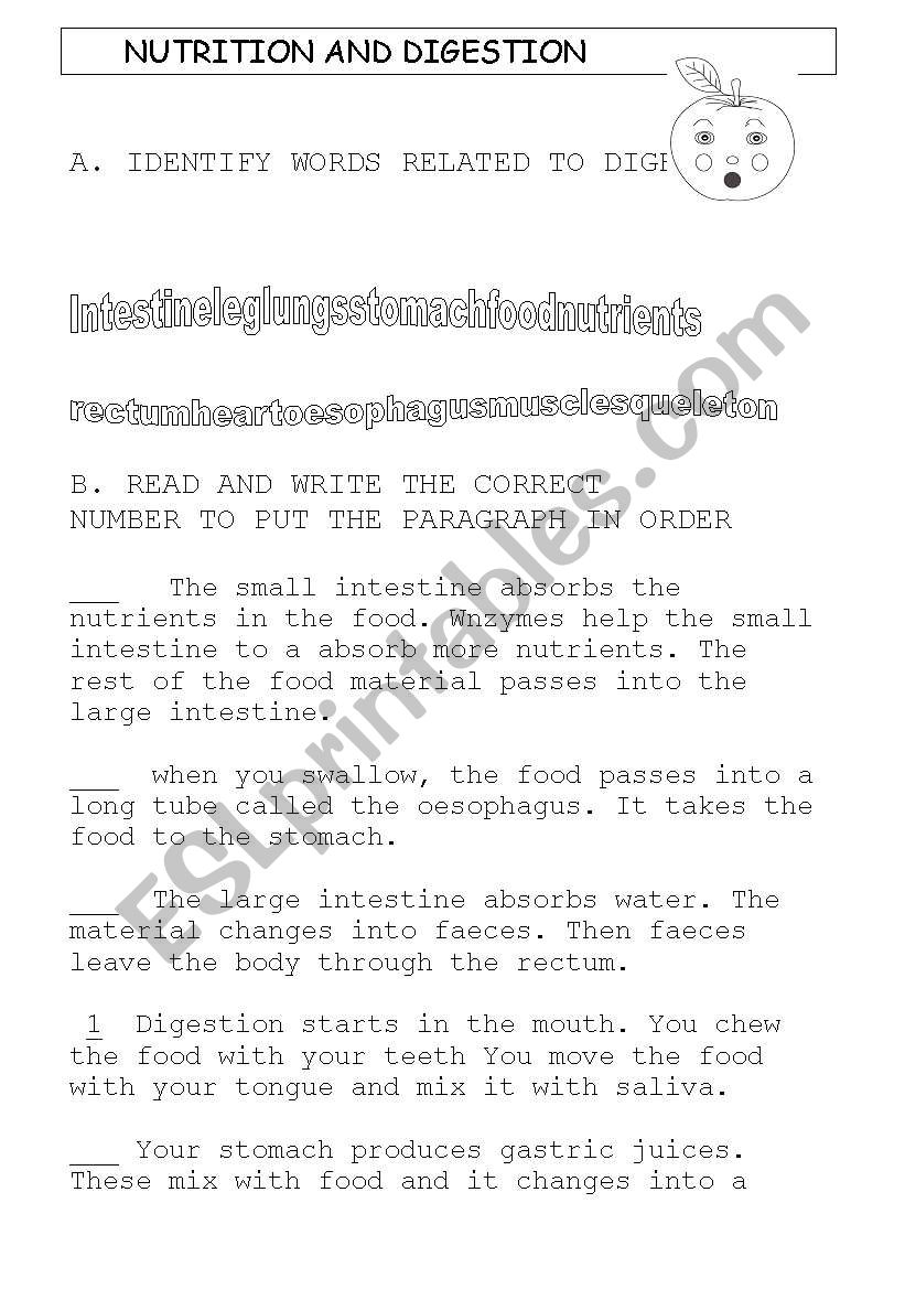 nutrition and digestion worksheet