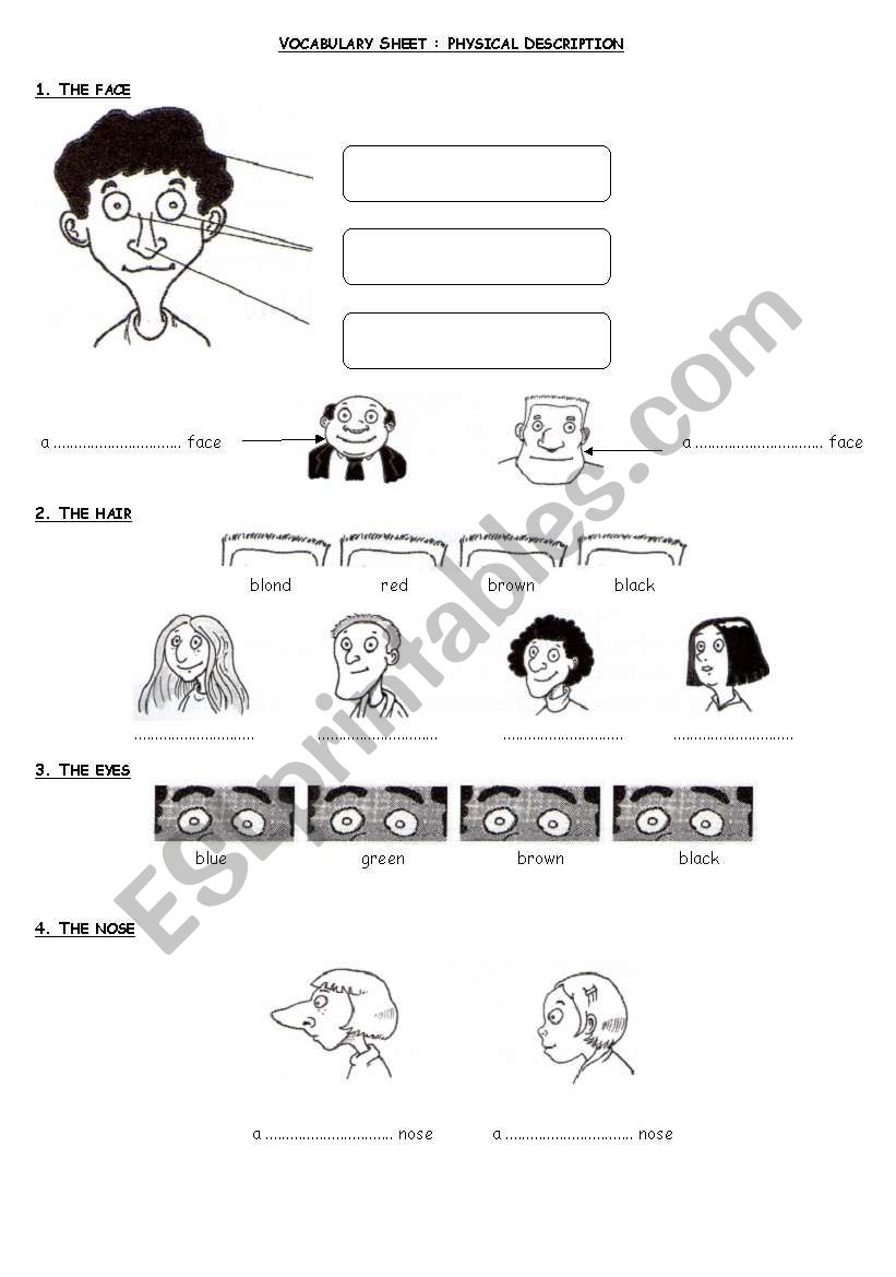 Physical description worksheet